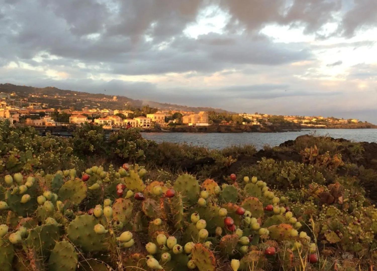 Casa Nichitta Lägenhet Catania